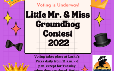 Little Mr. and Miss groundhog voting is underway