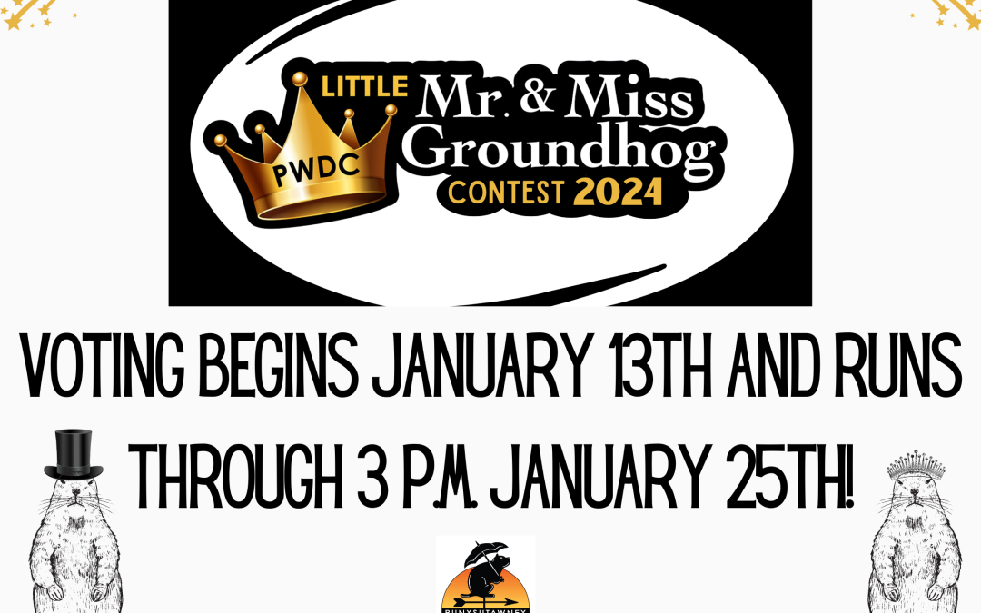 Voting underway for the 2024 Little Mr. & Miss Groundhog Contest