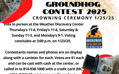 Voting has begun for the 2025 Little Mr. & Miss Groundhog Contest